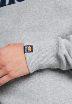 Ellesse FelpaGrey Marl Uomo Maglieria E Felpe EL922S01W-C11 -Ellesse 0ca53f6c6fd34ff1a144dde12154f1b5