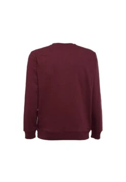 Ellesse FelpaBordeaux Uomo Maglieria E Felpe EL921J0AA-G11 -Ellesse 2ff108269a574ee1ac896a9e3ba10336