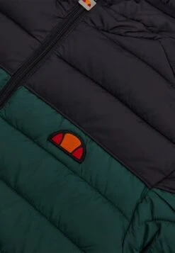 Ellesse Giacca InvernaleGrün Uomo Giacche EL922T0AE-M11 4 Ellesse Giacca InvernaleGrün Uomo Giacche EL922T0AE-M11 -Ellesse 3ad32cf5e0fd4438a098566a10c48788