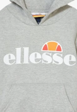 Ellesse IsobelFelpa Con CappuccioGrey Marl Bambini Pullover & Cardigan EL923K005-C11 5 Ellesse IsobelFelpa Con CappuccioGrey Marl Bambini Pullover & Cardigan EL923K005-C11 -Ellesse be7981d0cdb8418693f13db0fc72573a