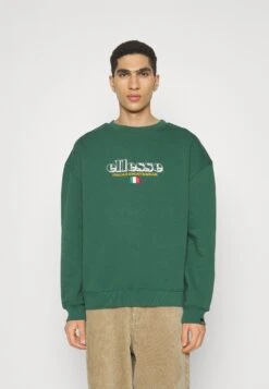 Ellesse SierreFelpaDark Green Uomo Abbigliamento EL922S0CM-M11 -Ellesse c17676c0e6c540998830b8df8900c776